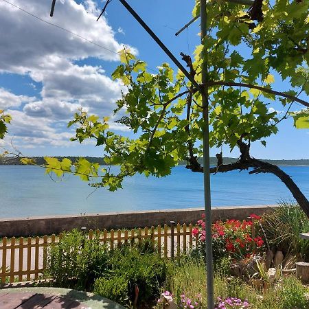 Ljubač Apartmani Seaview المظهر الخارجي الصورة