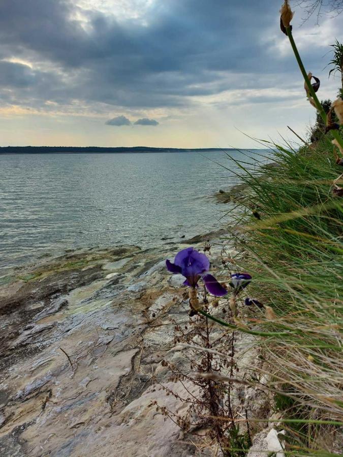 Ljubač Apartmani Seaview المظهر الخارجي الصورة