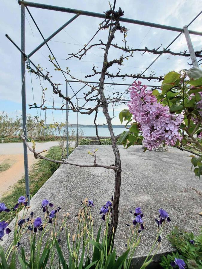 Ljubač Apartmani Seaview المظهر الخارجي الصورة